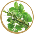 ICON_KREUTER